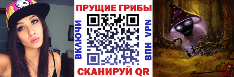 Галлюциногенные грибы прущие грибы  Трубчевск 